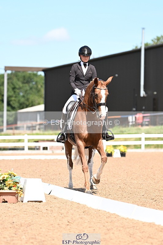 240816A-132100-05032 - 113-Ruby.Gumbley-Nova's.Golden.Dream