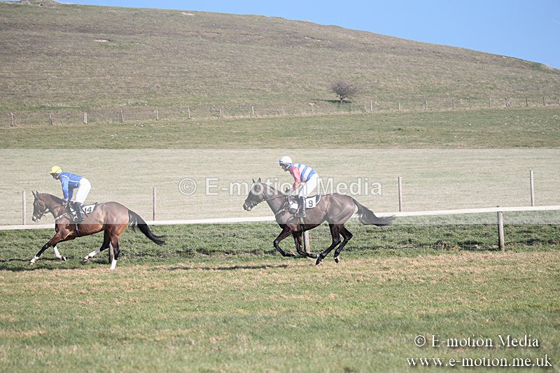 PtP 230219 134 - Vine & Craven Point-To-Point - Barbury 23/02/19