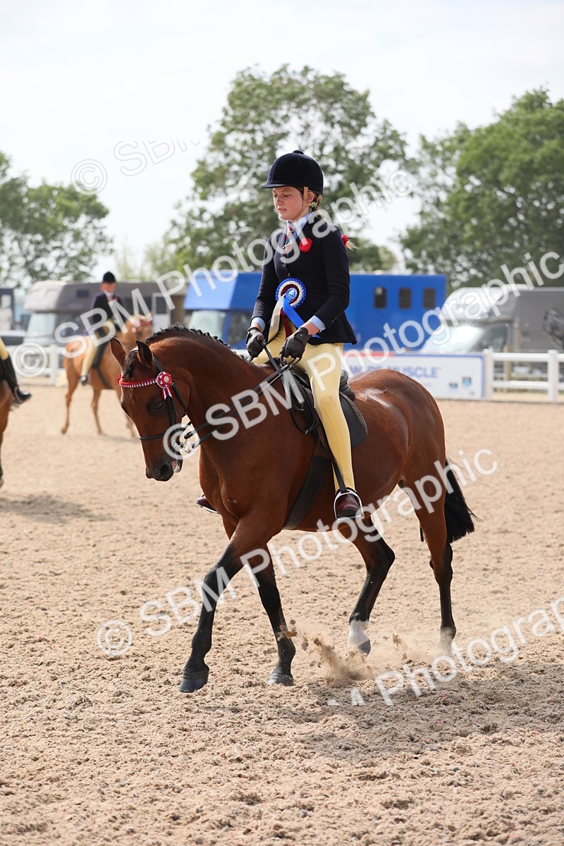SBM_15629 - Class 311 Ridden Show Pony/ Show Hunter Pony
