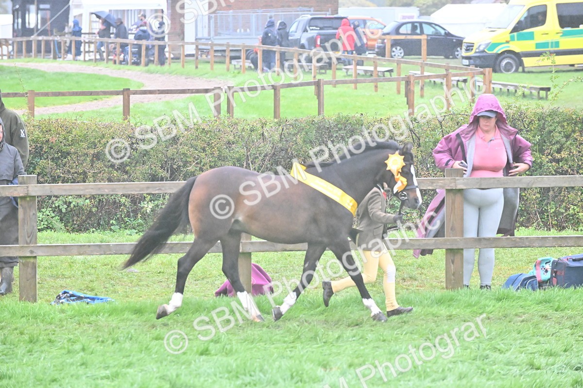 SBM_72157 - Equitation Supreme Championship