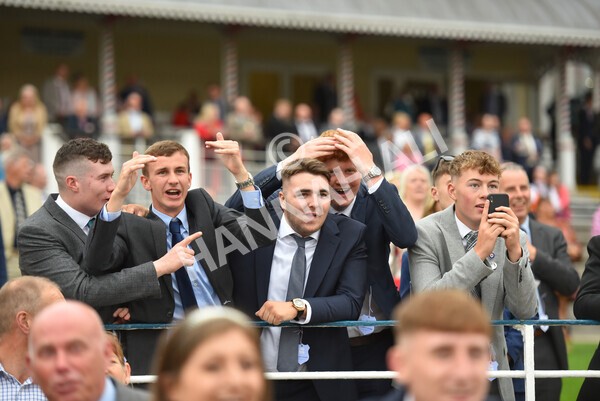 yr22072022r5-44 - Race 5 7.20pm British Stallion Studs EBF Lyric Fillies' Stakes