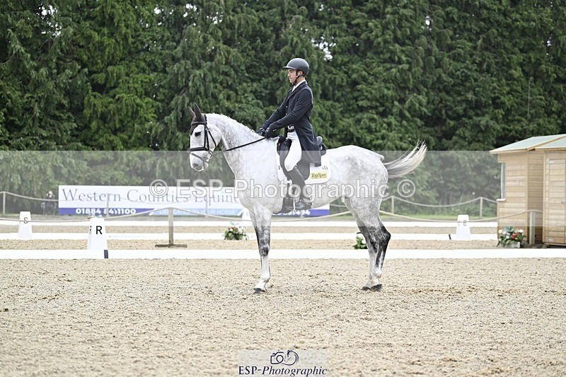 000101-215855-04515 - 404-DEERPAIRC_REVELRY-Max_Warburton