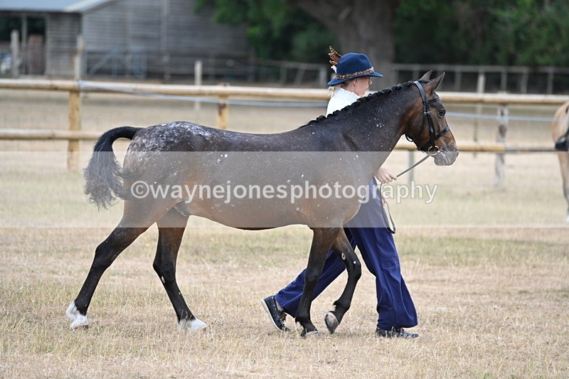 WJ6_7793 - Class 10 Coloured in Hand