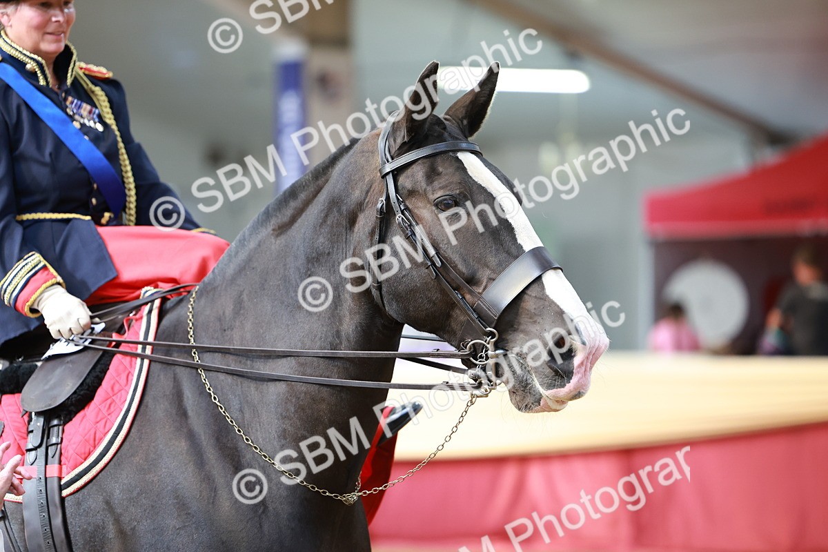 SBM_13619 - Class 105 - Ridden Costume - Side Saddle