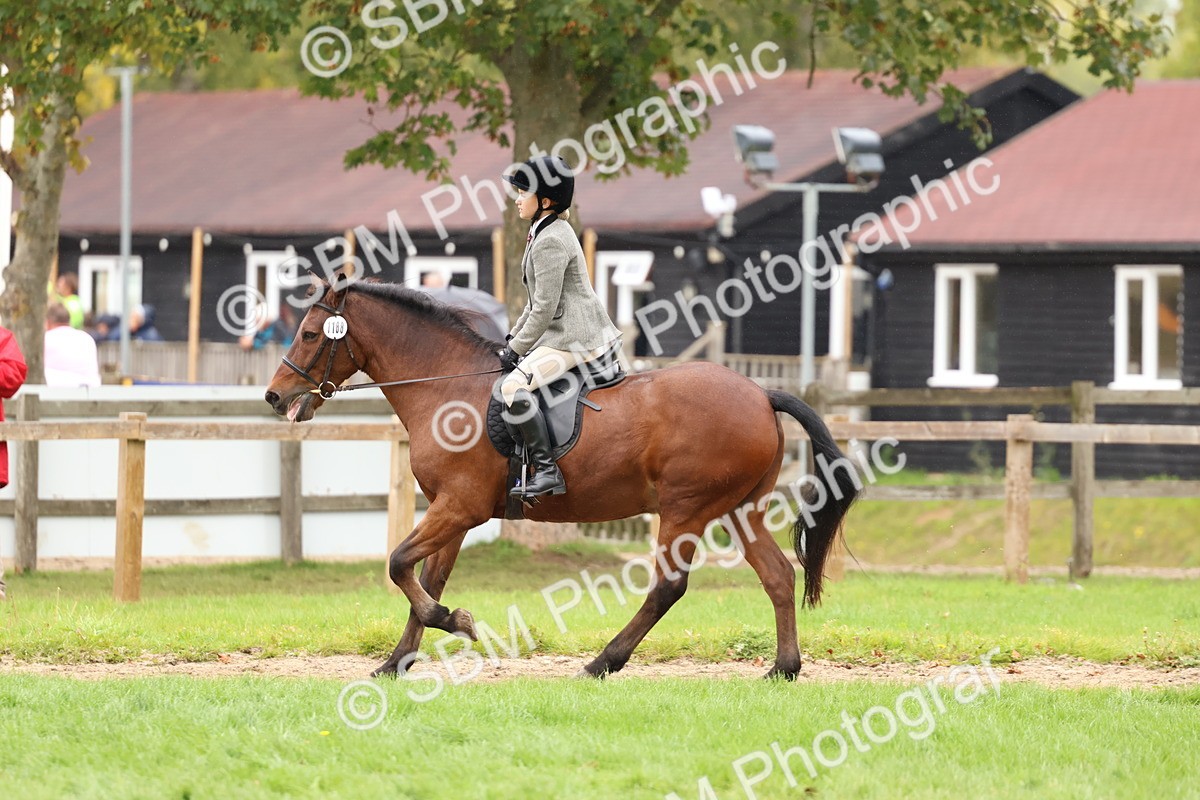 SBM_69618 - S62 - Mountain & Moorland Ridden Large Breeds