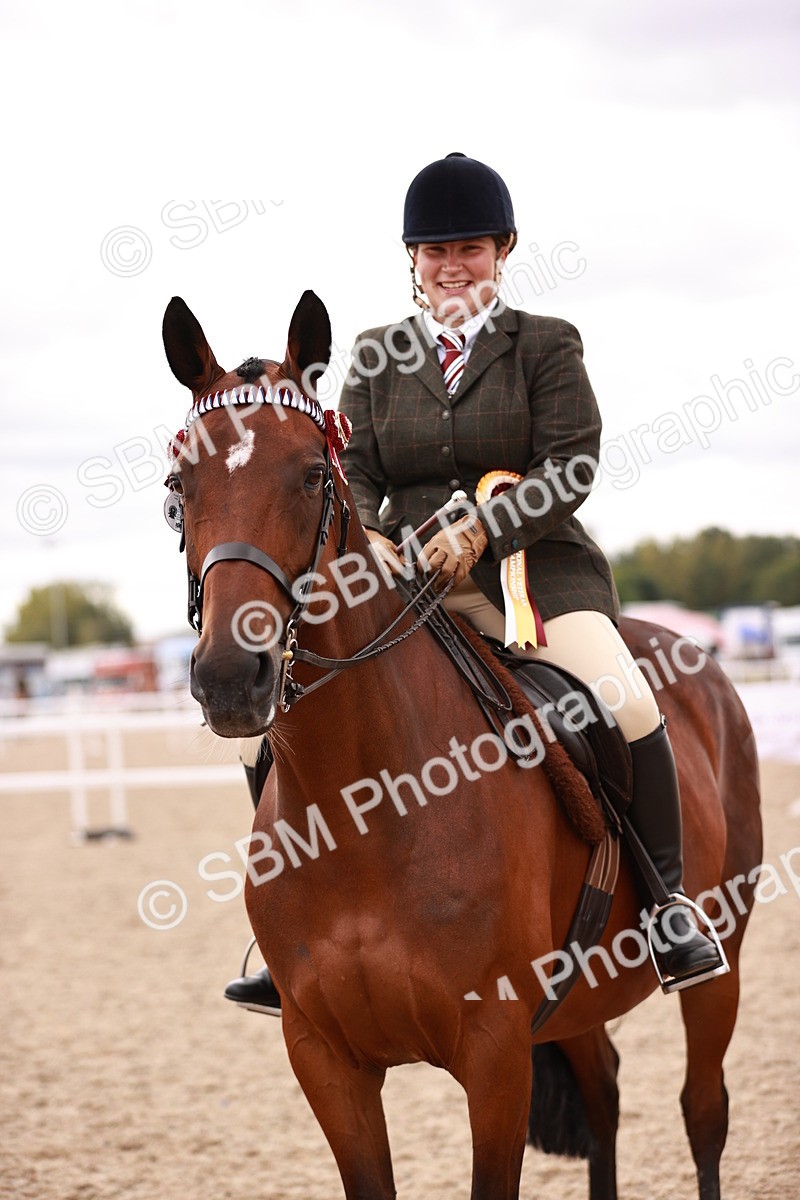 SBM_16147 - Class 411 - Prettiest Mare - (IH or Ridden Adult)