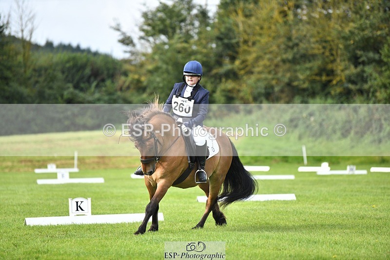 230826-101106-15399 - Sections C & D 10 to End