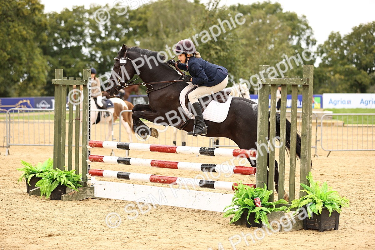 SBM_64719 - J17 - Junior Pony 80cm Championship
