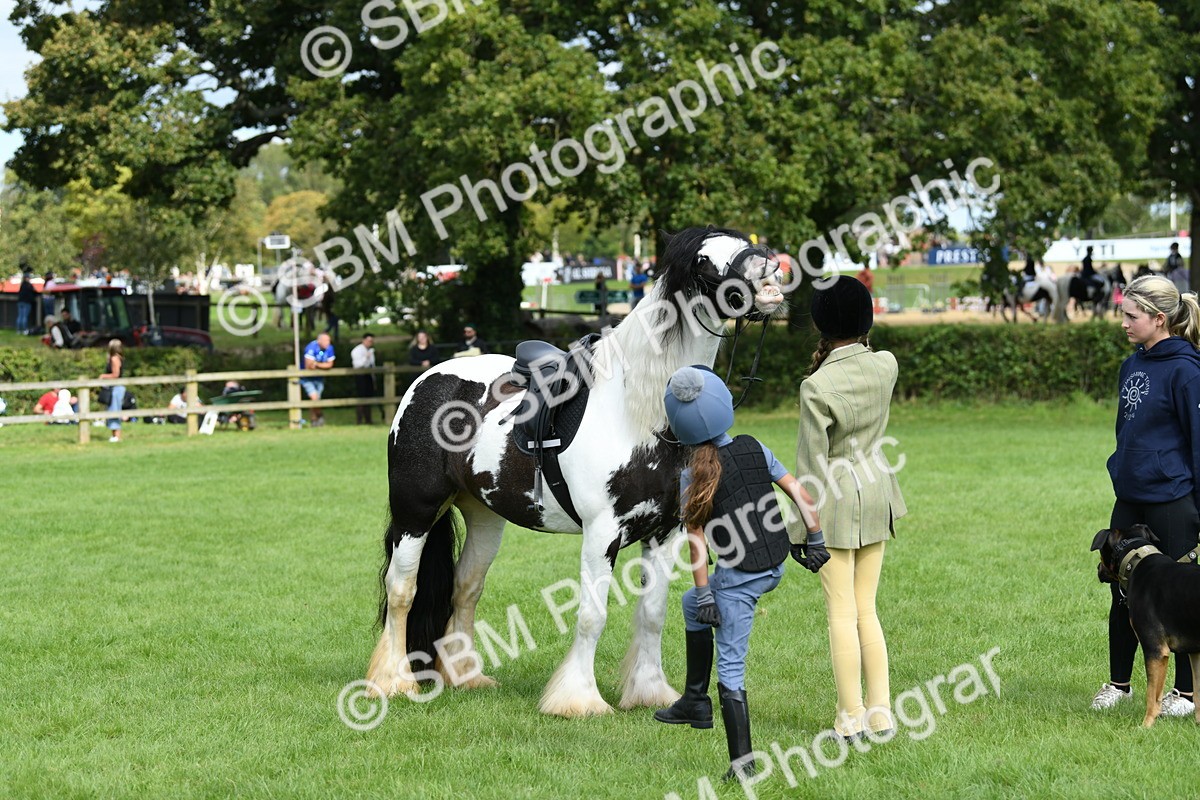 SBM_46950 - S12 - Family Horse & Pony