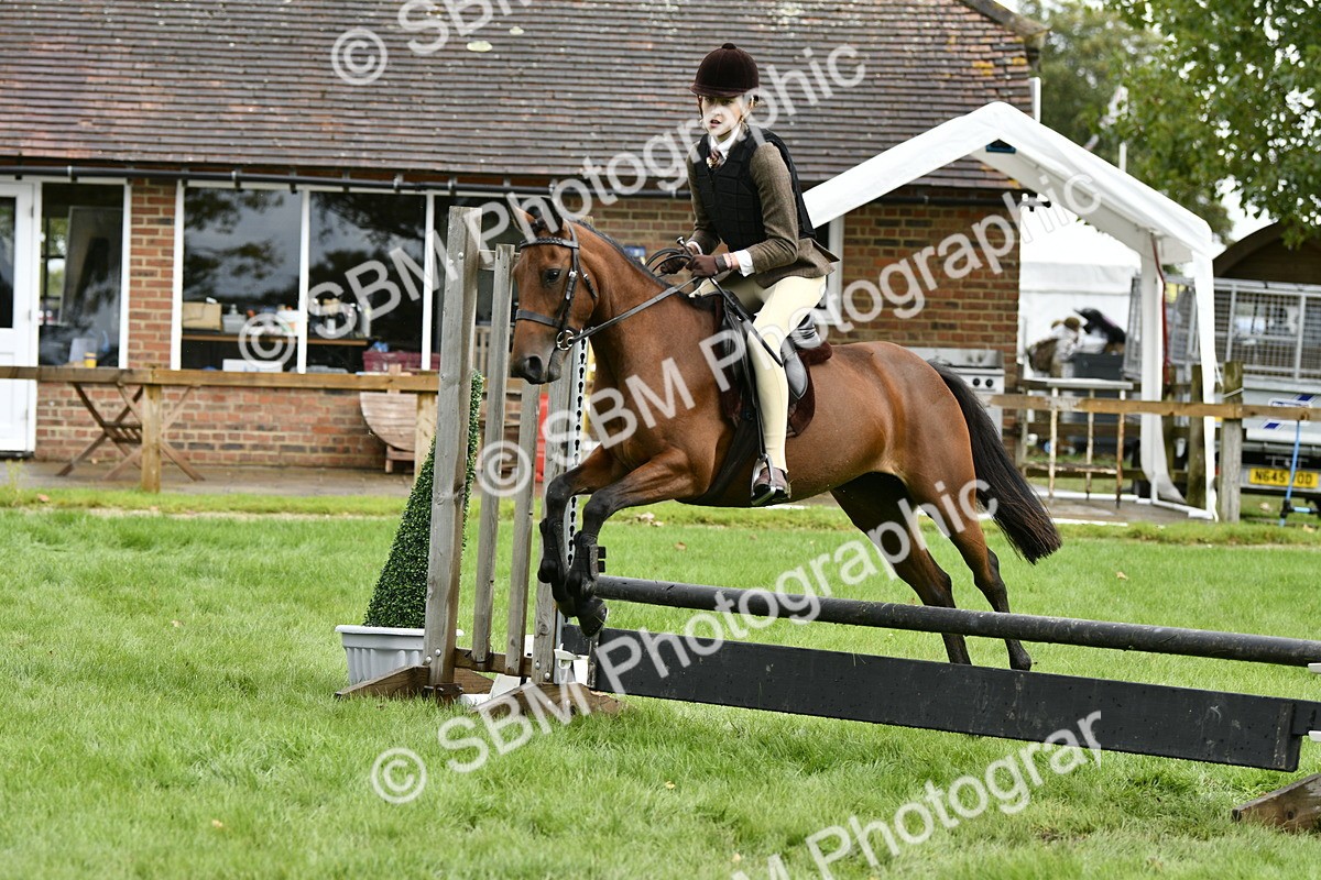 SBM_45607 - S33 - Working Hunter Pony