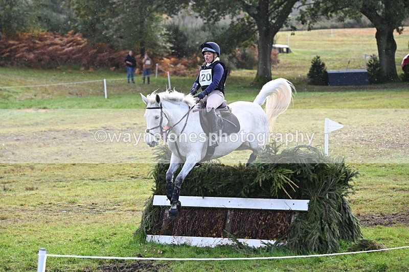 WJ6_2015 - 80cm Cam 1 Time 10:47 to 11:22