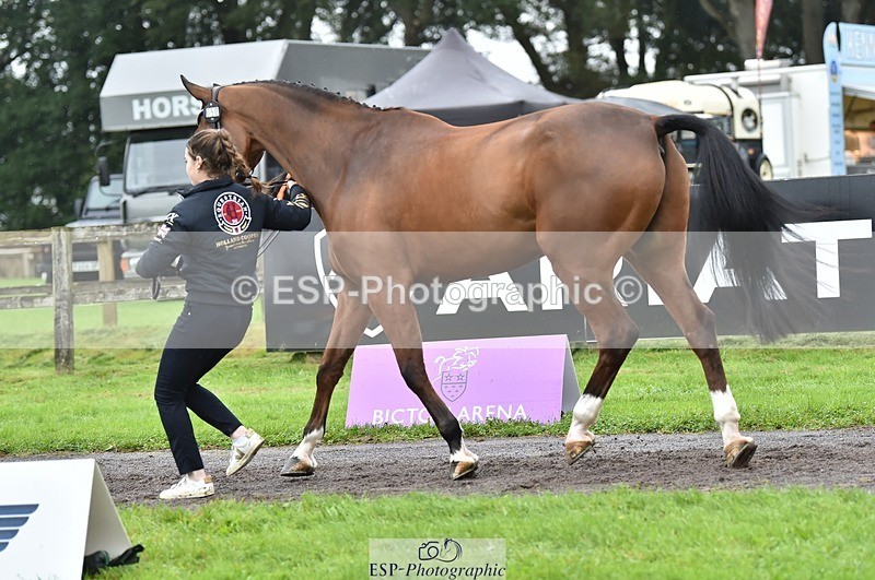 231018-123812-00419 - 050-VENDOME.BIATS-Annabel.Finston-TrotUp