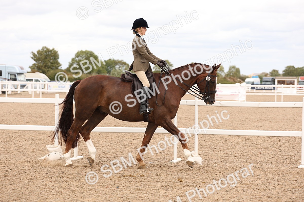 SBM_17185 - Class 213 - Ridden Hunter - Large