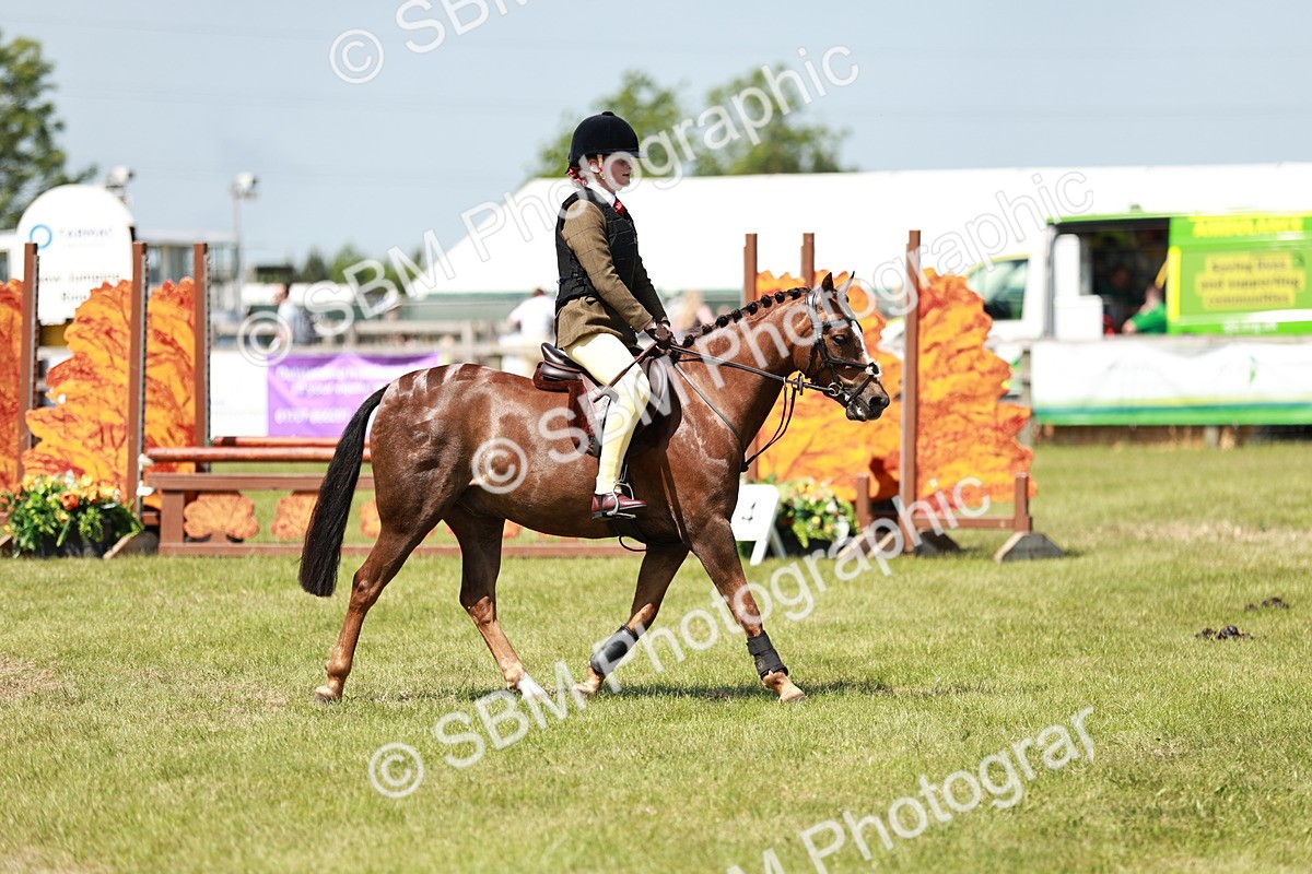 SBM_15581 - Class 108-109 - BSPS LIHS Open Gradle & Nursery Stakes