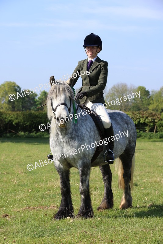 20250427-0584 - Class 17 - Novice Showing
