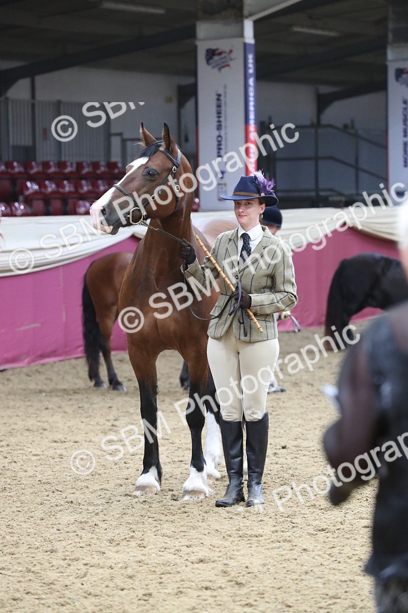 SBM_15324 - Class 501 M&M IH Supreme Final