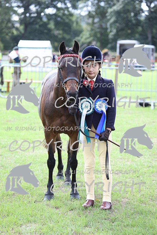 APP_2662 - Class 9 Veterans in hand