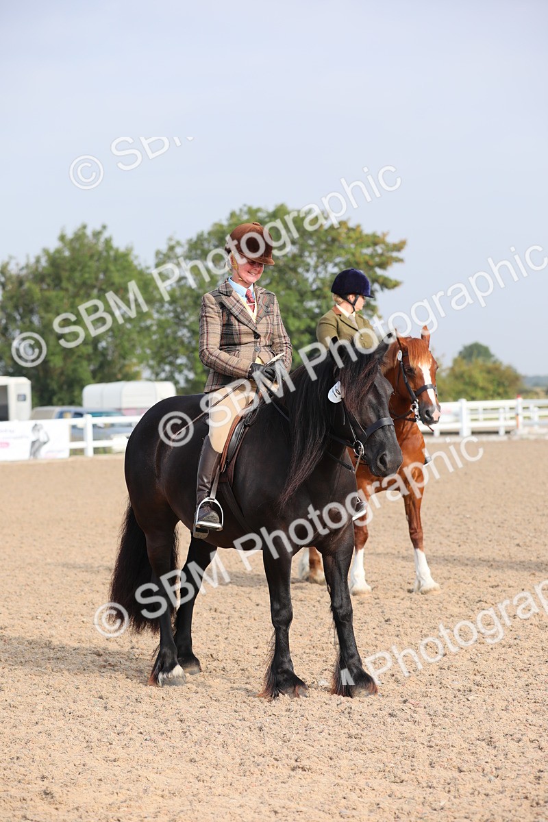SBM_10127 - Class 302 Ridden M&M -Large Breeds