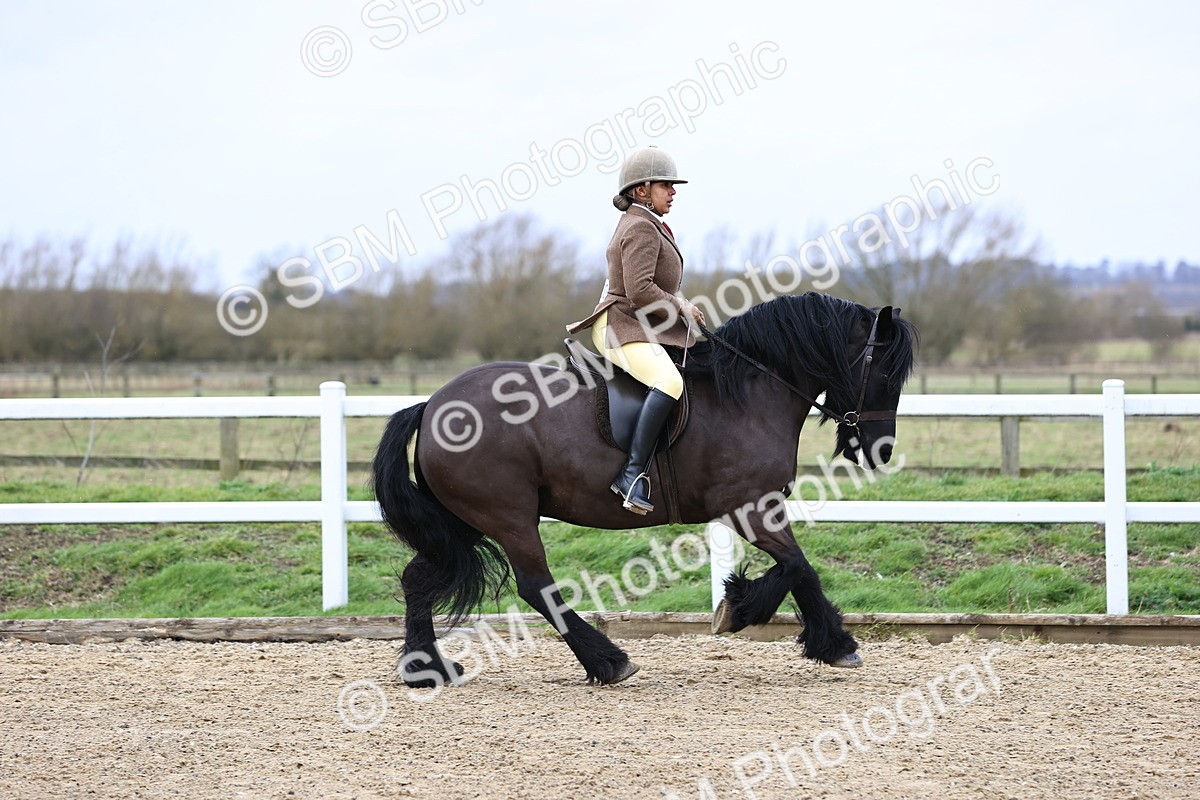 SBM_006924 - Class 29 - 30 - M&M Pure Novice Small-Large Breeds