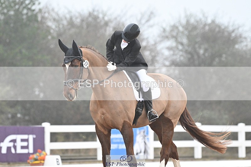 240217A-095525-00488 - 123-Daisy.Hedges-Felicia.v