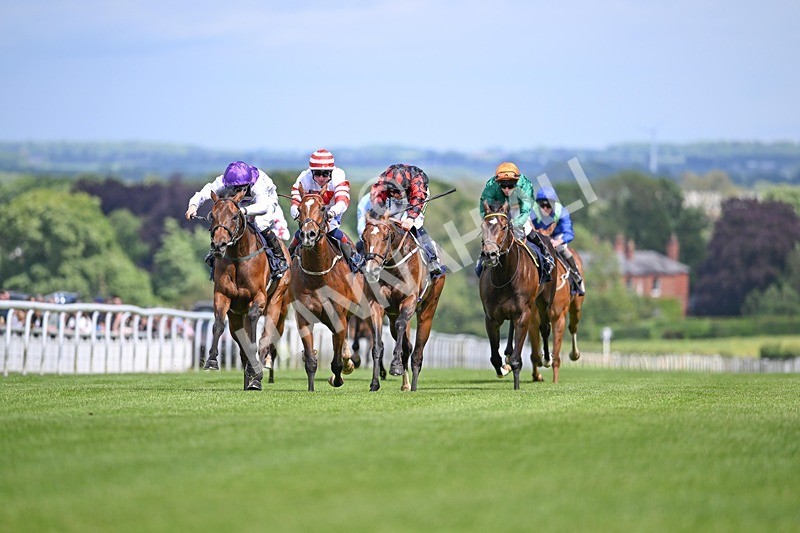 290524-Race 3-Puella Law-6366 - Race 3