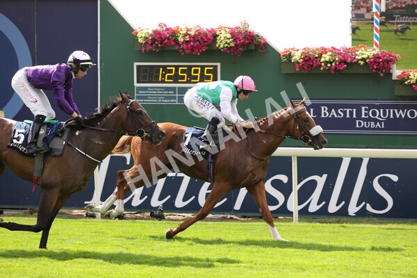 yr17082022r2-32 - Race 2 2.25pm Tattersalls Acomb Stakes