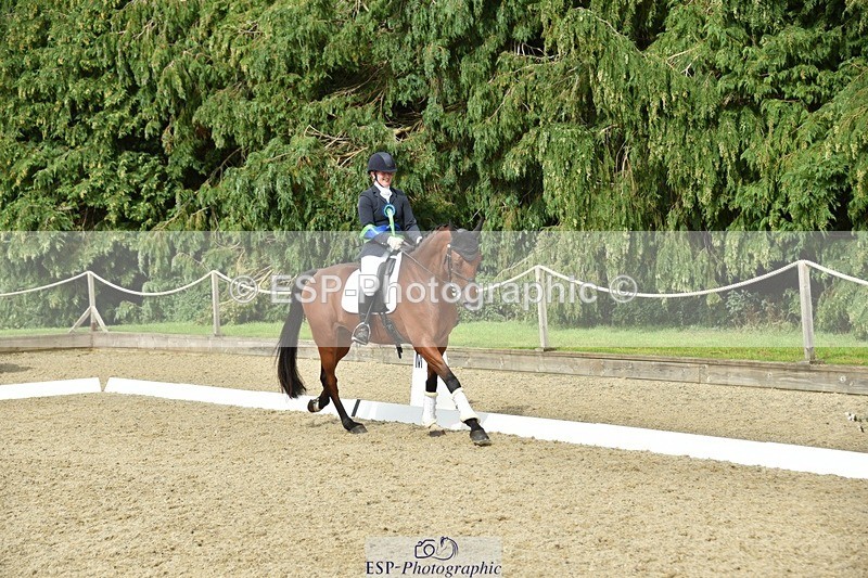 230812-160954-05453 - Novice Bronze Presentations