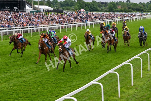 250524-Race 7-Feel The Need-4377 - Race 7 5.05pm Alf Duffield Memorial Handicap