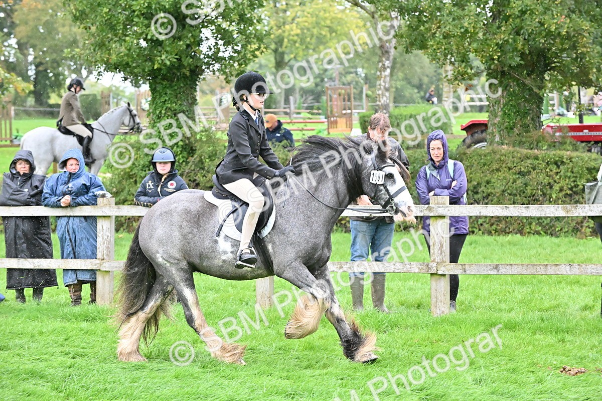 SBM_42978 - S12 - Family Horse & Pony