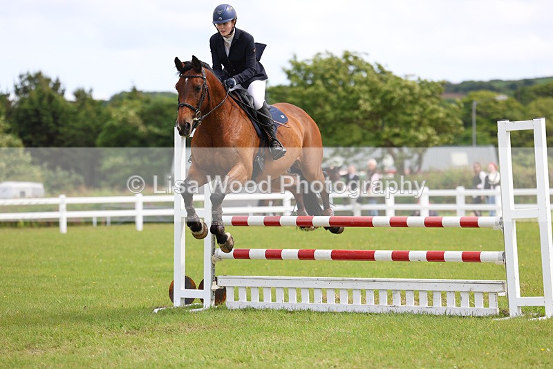 3E7A7813 - Class 13: Senior British Novice/90cm open