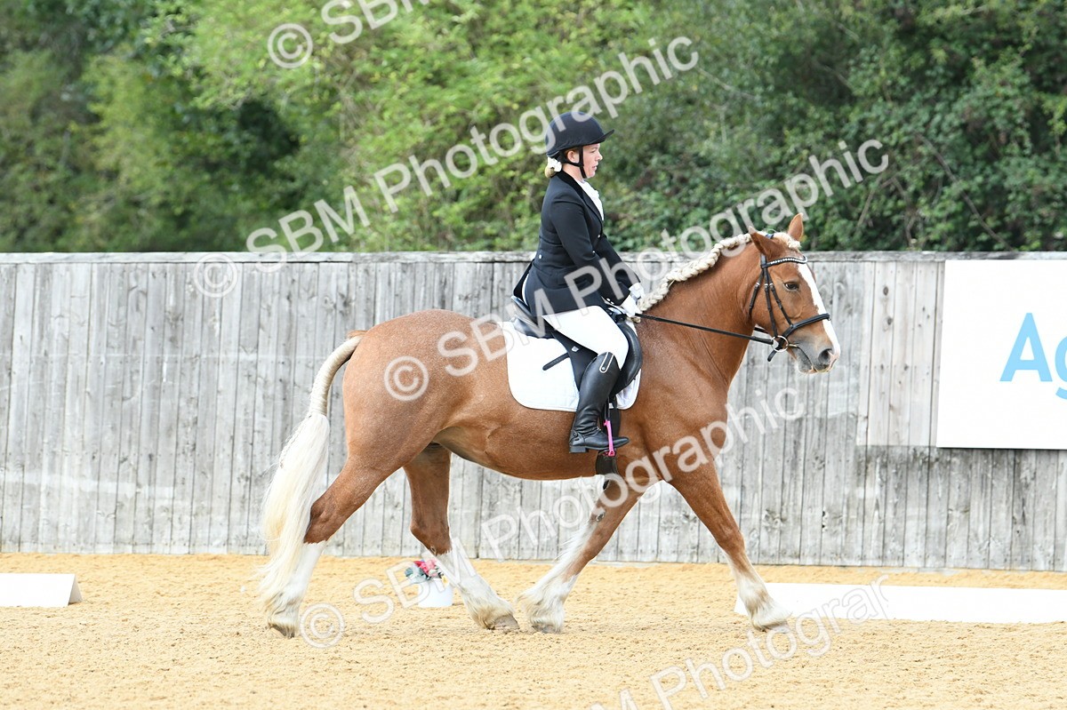 SBM_03097 - D7 Small Tour Championship Prelim 1
