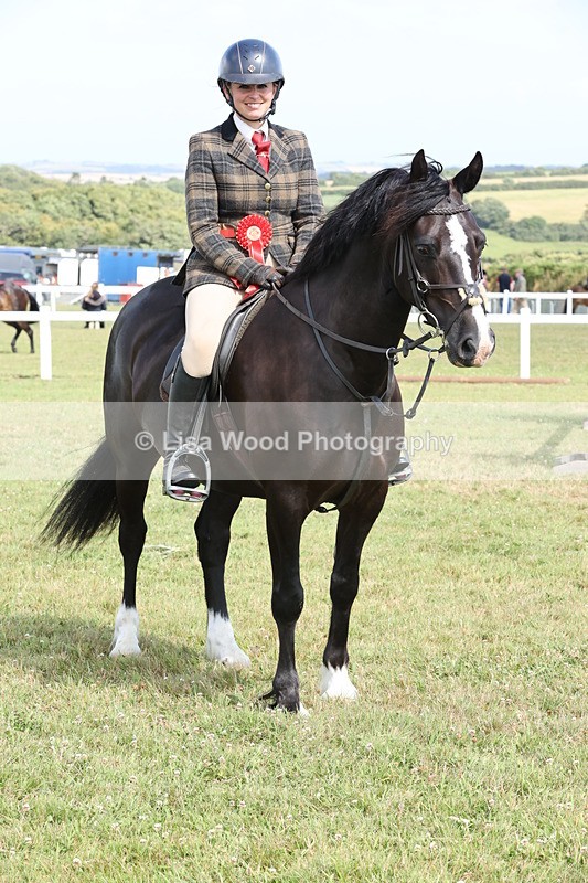 JPP_2445 - Class 19: Working Hunter 60cm