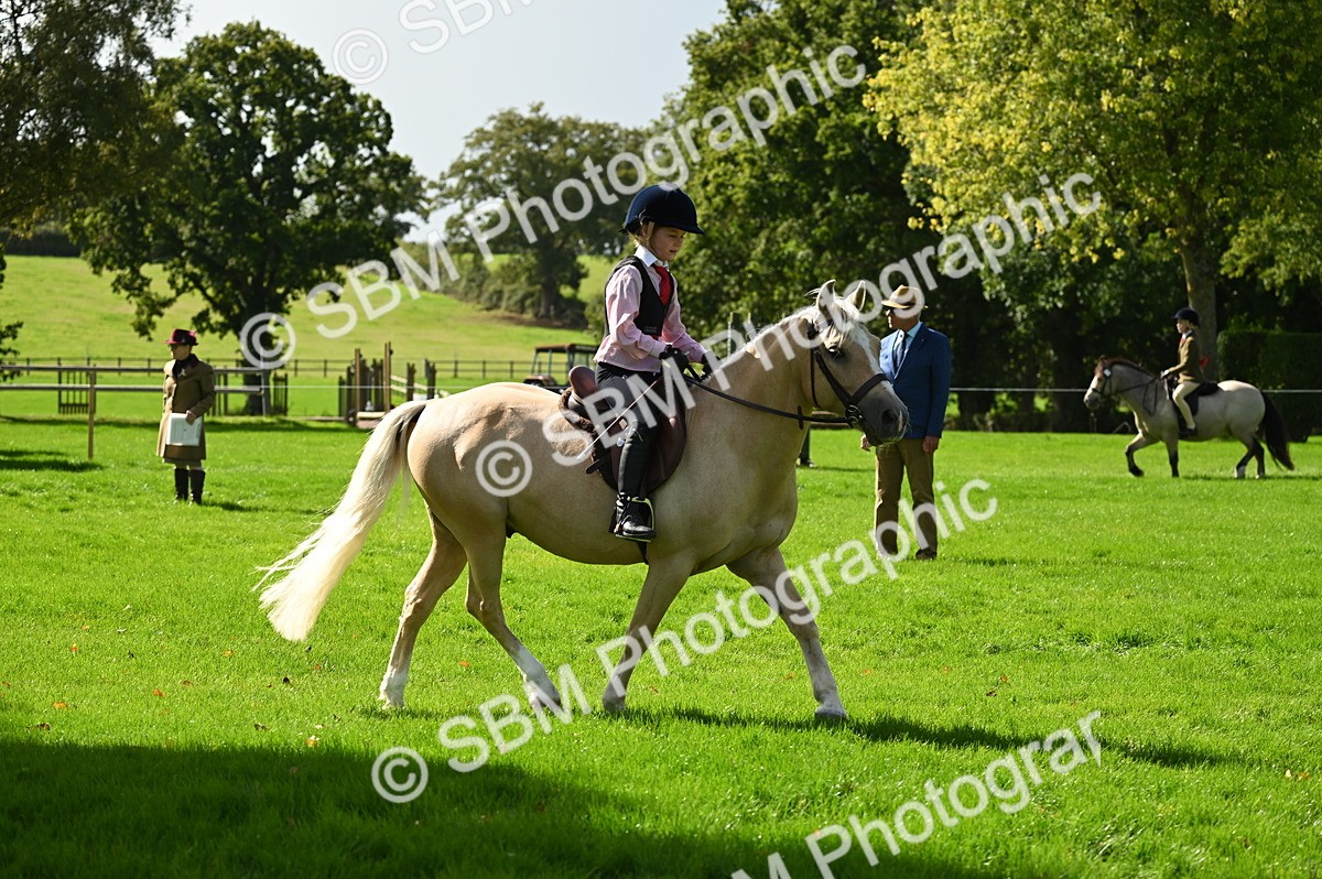 SBM_02746 - S3 - TSR Ridden Pony Showing