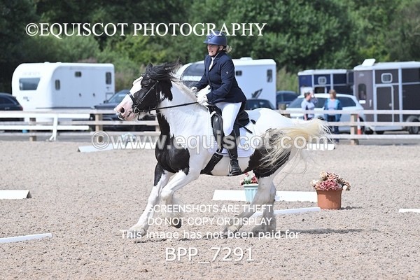 BPP_7291 - PRELIM 3