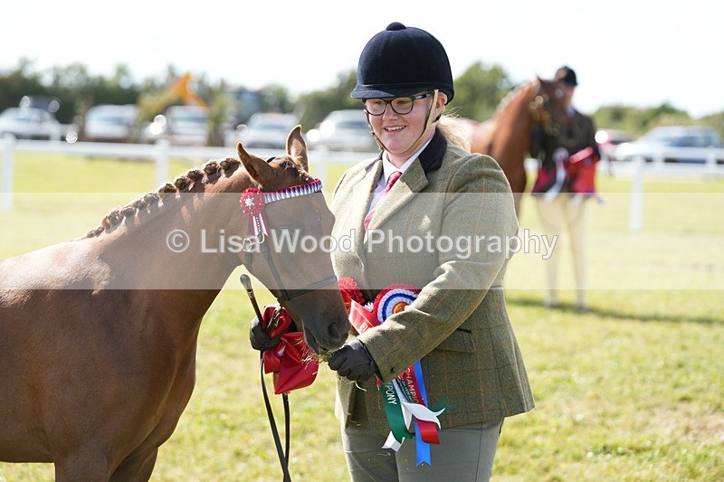 DSC07514 - Pony Breeding Championship
