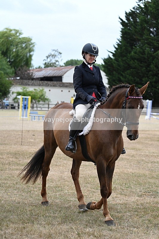 WJ7_0781 - Class 7 Riding Club Show Horse
