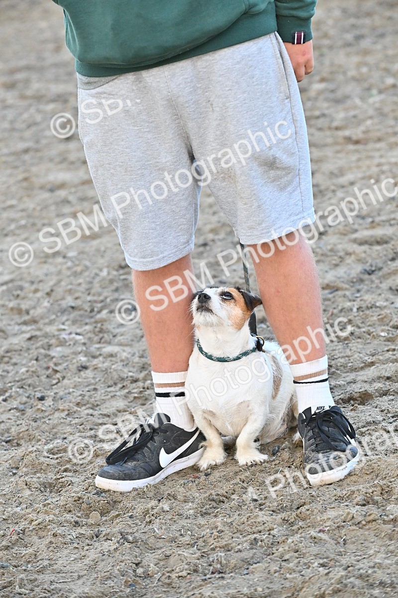 SBM_09575 - Lorry Dogs