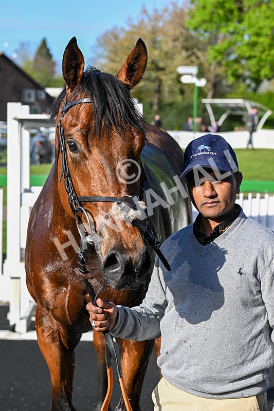 200424-Race 4-Shartash-6754 - Race 4