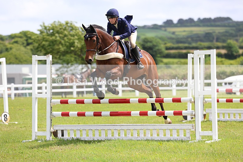 3E7A7391 - Class 13: Senior British Novice/90cm open