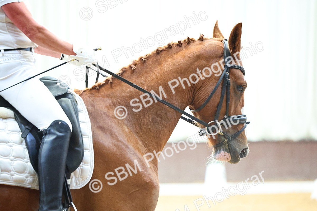 SBM_021434 - Class 11 - P5