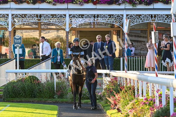 260724-Race 6-Duran-5567 - Race 6 8.20pm Sky Bet Go-Racing-In-Yorkshire Summer Festival Handicap