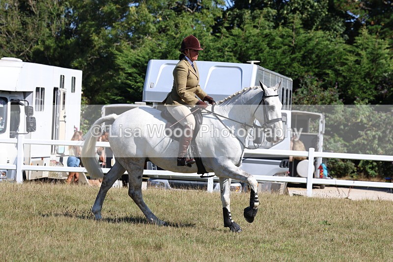 3E7A5874 - Class 5: Working Hunter 90cm