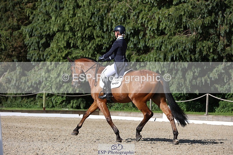 230526-171840-07948 - 177-ARGENTINO_BK-Dani_Evans-WEDTrotUp+DR