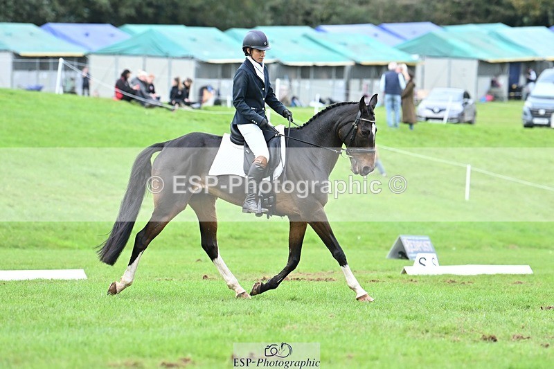 231020-153537-11513 - 687-VLOVE.D.OR.LY-Hani.Milstein-DR