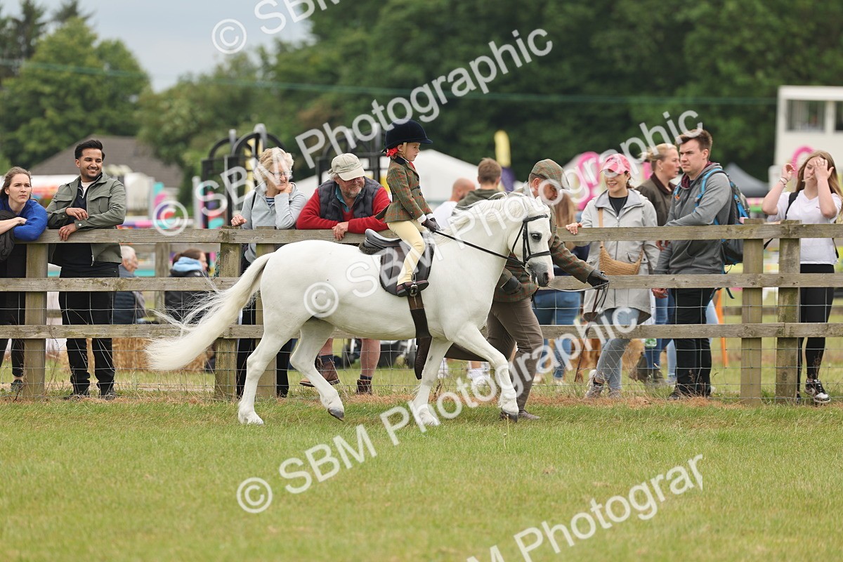 SBM_06675 - Class 74-75 - M&M Lead Rein and First Ridden Pony