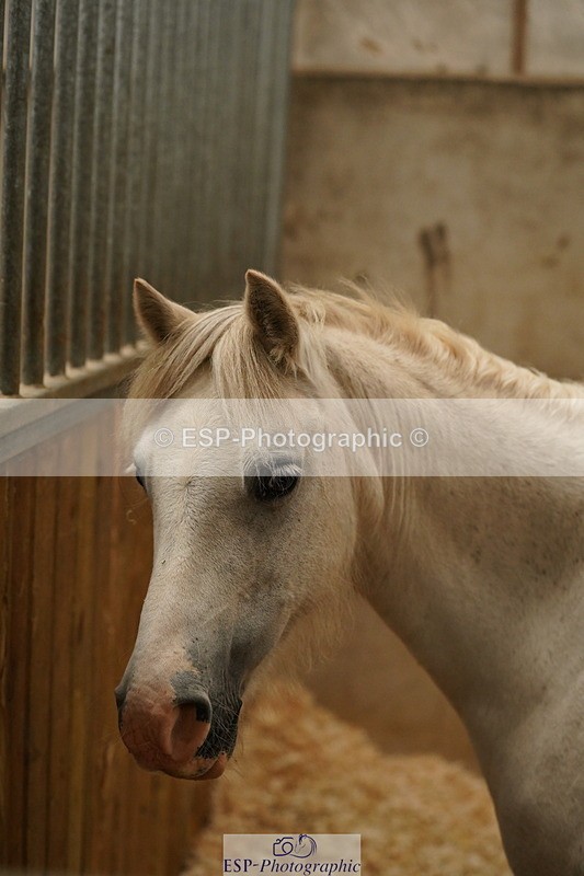 240809A-134406-00991 - Stable Shots