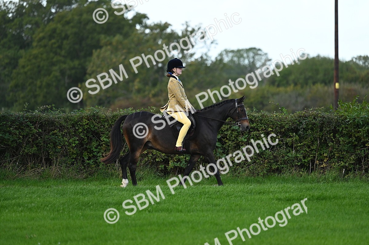SBM_02534 - S3 - TSR Ridden Pony Showing