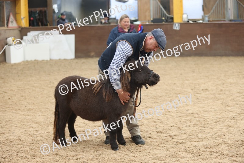 20251109-0193 - Class 10 - Yearling, Colt, Filly or Gelding