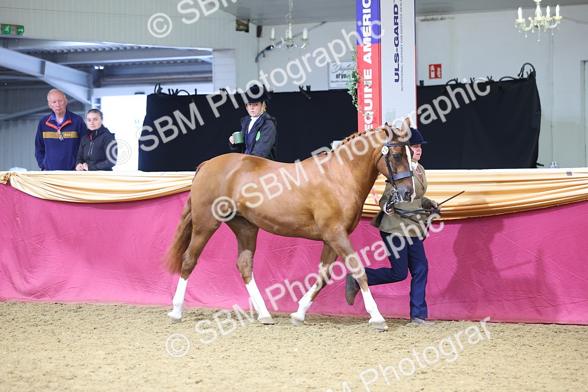 SBM_19365 - Class 901 - Supreme Final - IH Diamond