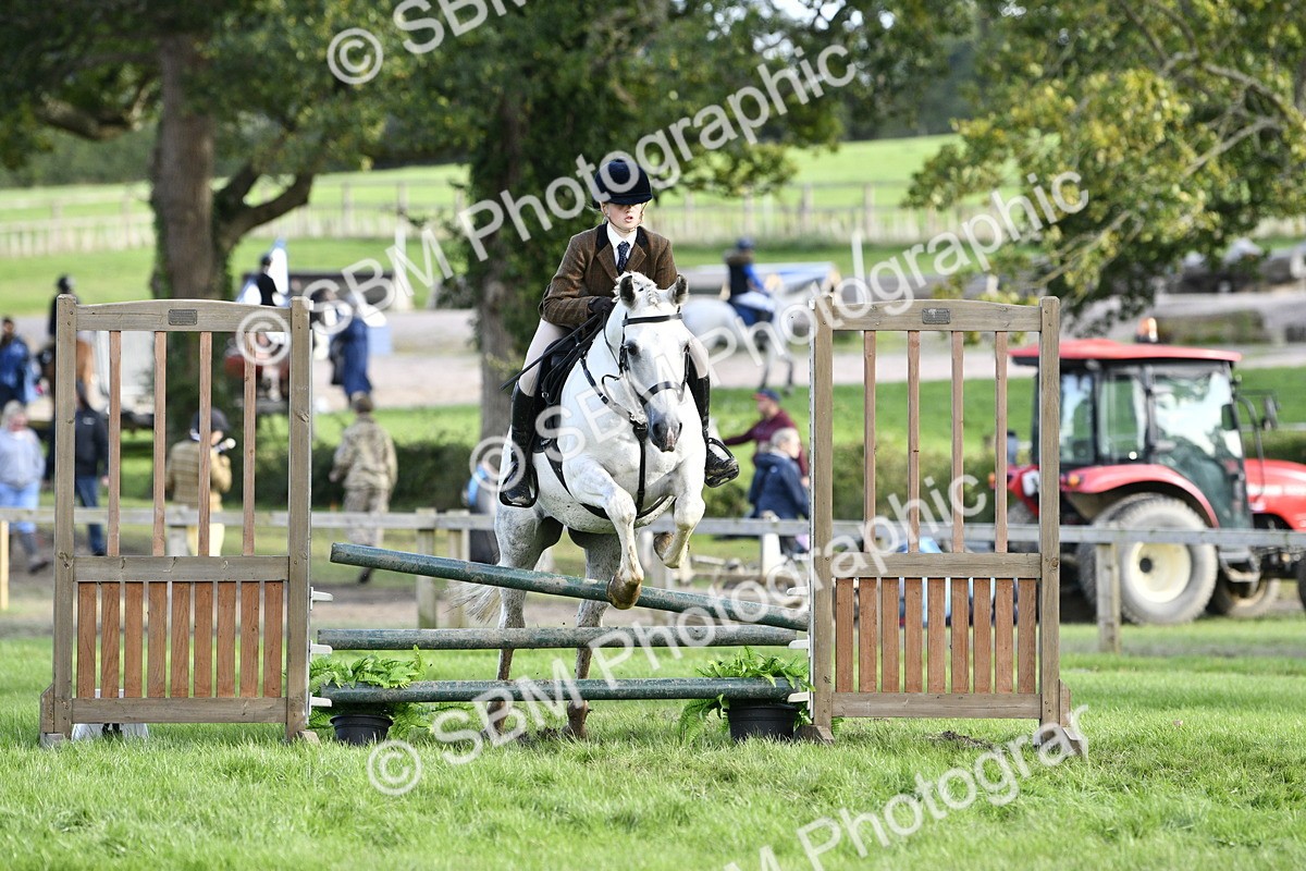 SBM_52181 - S35 - Working Hunter & Working Show Horse
